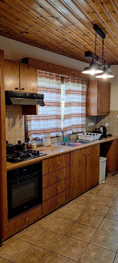 Το Σπίτι Του Προκόπη Villa Nicosia Buitenkant foto